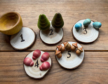 Load image into Gallery viewer, Naturally-Dyed Rainbow Loose Parts Counting Set - Nature Themed