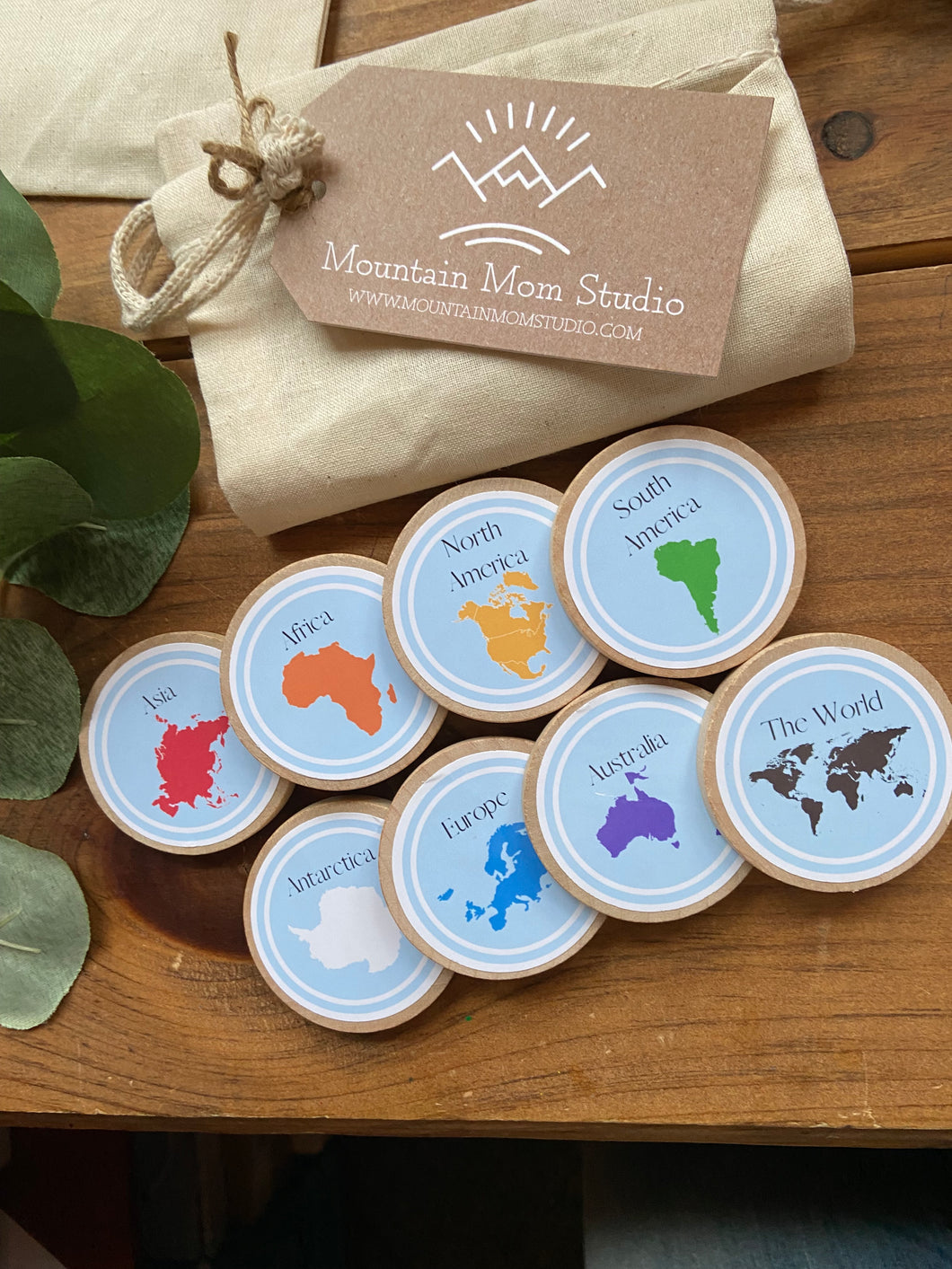 Wooden Geography Coins + Magnets for Learning Continents - Elementary+Homeschool- Set of 8 Birch 2