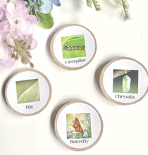 Load image into Gallery viewer, Wooden Life Cycle Coins + Magnets for Learning Science-Elementary + Homeschool- Sets of 4 Birch 2&quot; Coins - Montessori, Optional Memory Game
